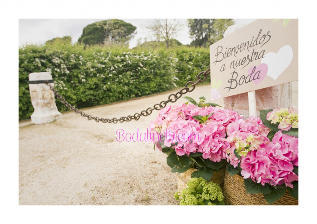 EL SUEÑO DE ELMA, BODAS DE CUENTO, WEDDING PLANNER, BODALINETV EEL SUEÑO DE ELMA, BODAS DE CUENTO, WEDDING PLANNER, BODALINETV