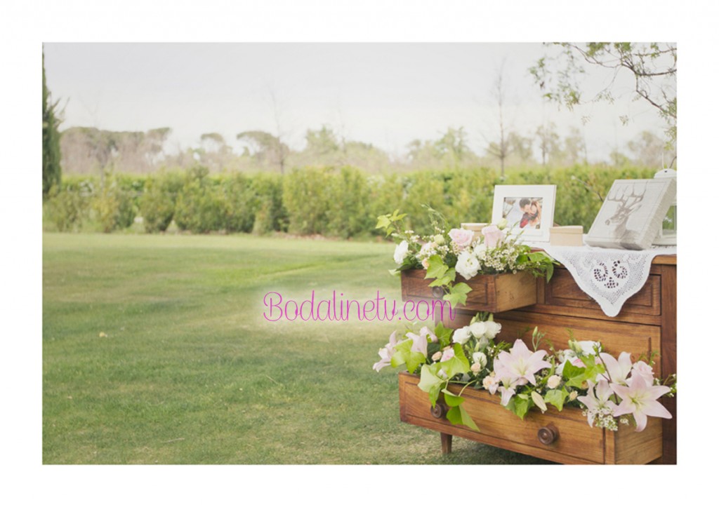 EL SUEÑO DE ELMA, BODAS DE CUENTO, WEDDING PLANNER, BODALINETV EL SUEÑO DE ELMA, BODAS DE CUENTO, WEDDING PLANNER, BODALINETV