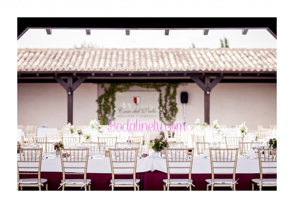 EL SUEÑO DE ELMA, BODAS DE CUENTO, WEDDING PLANNER, BODALINETV EL SUEÑO DE ELMA, BODAS DE CUENTO, WEDDING PLANNER, BODALINETV